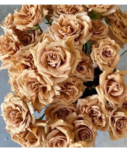 Toffee Roses Exclusive 