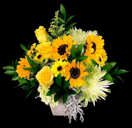 Tomorrow Yellow and White mix
