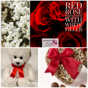 Tonight is your night Bro Roses/chocolates/bear in Houston, TX | EXOTICA THE SIGNATURE OF FLOWERS Tonight is your night Bro Roses/chocolates/bear in Houston, TX | EXOTICA THE SIGNATURE OF FLOWERS