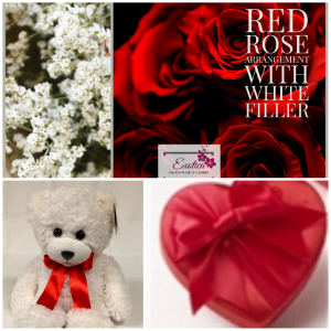 Tonight is night to your night Bro Roses/chocolates/bear in Houston, TX | EXOTICA THE SIGNATURE OF FLOWERS Tonight is night to your night Bro Roses/chocolates/bear in Houston, TX | EXOTICA THE SIGNATURE OF FLOWERS