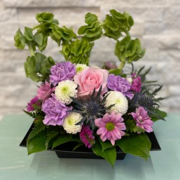 Too Cute  in Saint Albert, AB | Bloom Stones Floral and Gifts