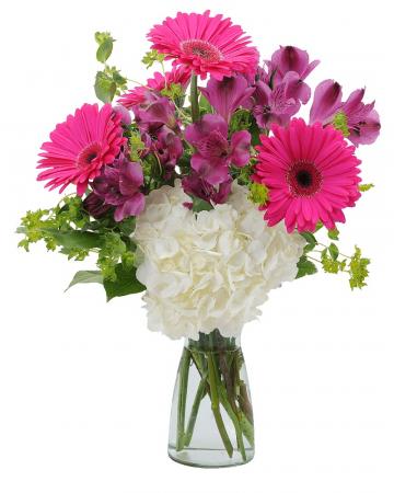 Too Cute Arrangement
