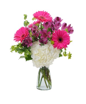 Too Cute Arrangement