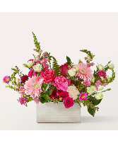 Too cute. Holiday arrangement