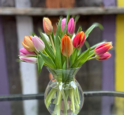 Too Cute Tulips Vase