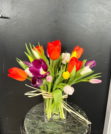 Too Tulip-y  in Coralville, IA | Every Bloomin' Thing