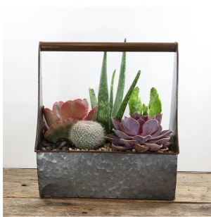 Tool Box Succulent Planter