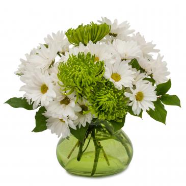 Top of the Morning Arrangement