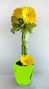 Topiary of Yellow Gerbera's Gerbera Daisy other Colors available Upon Request