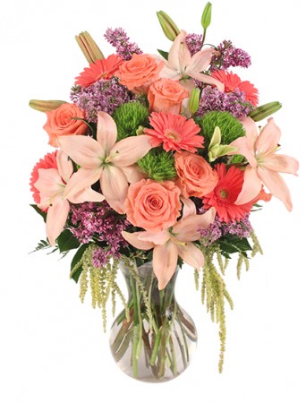 Touch Her Heart Arrangement