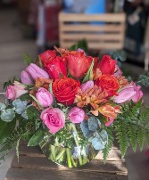Touch of Class Any Occasion 