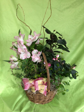 Touch of Pink Dish Garden