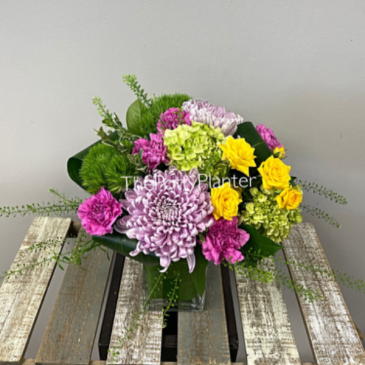 Touch Of Sunshine   in Etobicoke, ON | THE POTTY PLANTER FLORIST