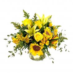 Category Image