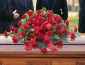 TOUCH OF SYMPATHY Half Casket Spray of all red carnations and a variety of greens. (Any color carnation can be used) 