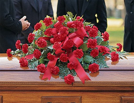 TOUCH OF SYMPATHY Half Casket Spray of all red carnations and a variety of greens. (Any color carnation can be used)