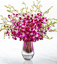 Towering Orchids