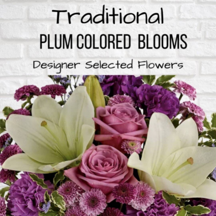 Traditional-Plum
