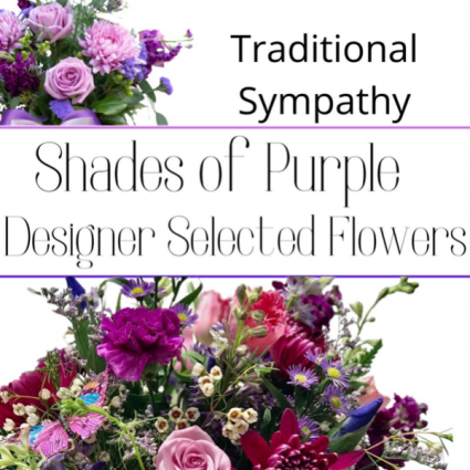 Traditional Purple
