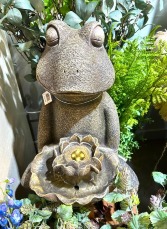 Tranquil Frog Lotus Fountain w/LED 