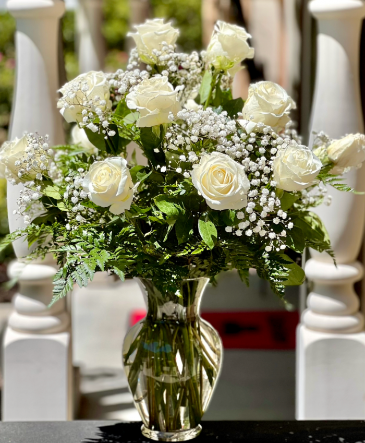 Tranquil Serenity 18 white roses  in Fairfield, CA | J Francis Floral Design