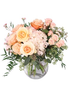 Category Image