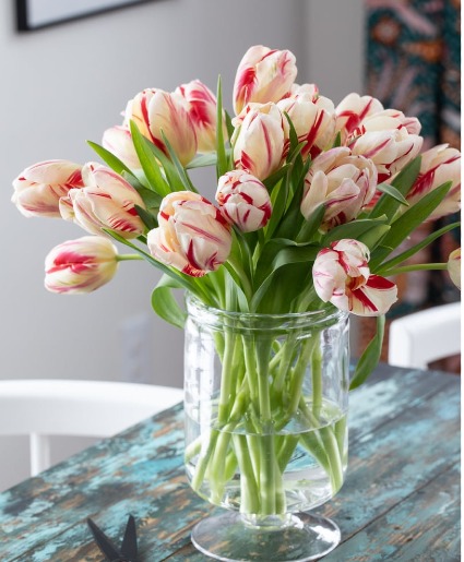 Tranquil Tulips Vase Arrangement