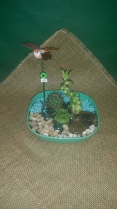 Tranquility Succulent Arrangement in Newport News, VA | Pick Me Up Love LLC. Tranquility Succulent Arrangement in Newport News, VA | Pick Me Up Love LLC.