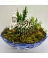 Serenity Sphere Zen Garden 