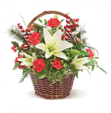 TREASURE BASKET Christmas Basket