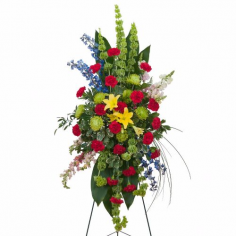 Category Image
