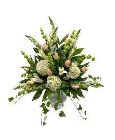 Category Image