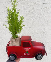 Tree Farm Christmas Truck Planter 