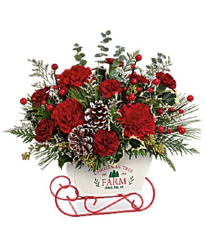 Tree Farm Sleigh Bouquet - LIMITED EDITION Floral Design