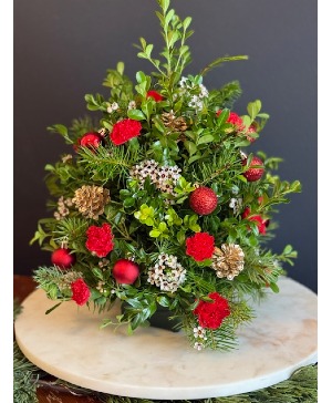 Tree Top winter green