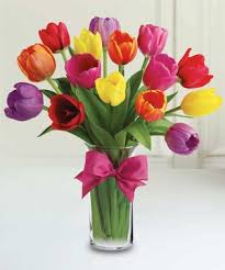 TRENDY TULIPS Rainbow of Tulips