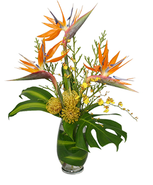 Tropical Flowers Free Same Day Delivery In Nyc