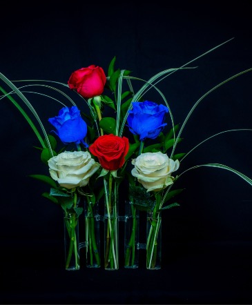 Tri color roses  in Falls Church, VA | Geno's Flowers
