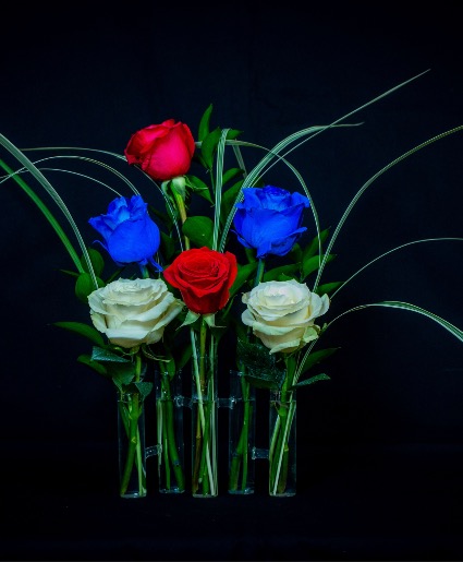 Tri color roses 