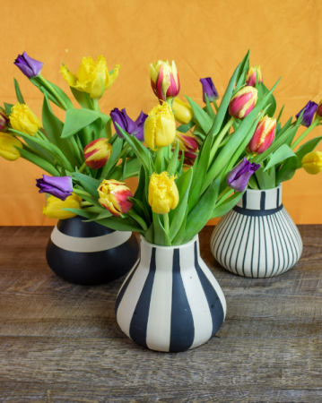 Stripe Tribeca Tulip Vase fresh