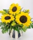 Tribecca Sun Custon