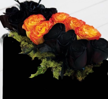 Trick or Treat ! Dz. Black & Orange Roses