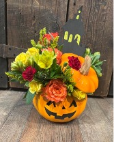 Trick-or-Treat Fall