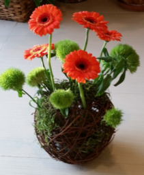 Daisy Surprise Flower arrangement
