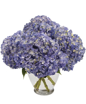 Tried & True Blue Arrangement in Ozone Park, NY | Heavenly Florist