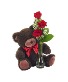 Trio Rose Bud with Bear and Chocolate 