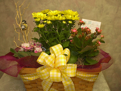 Triple Bloomer Blooming basket