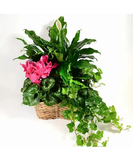Triple Garden Plant Basket