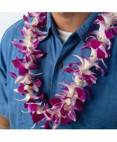 Triple Orchid Lei - Fresh Hawaiian Lei for Graduat 