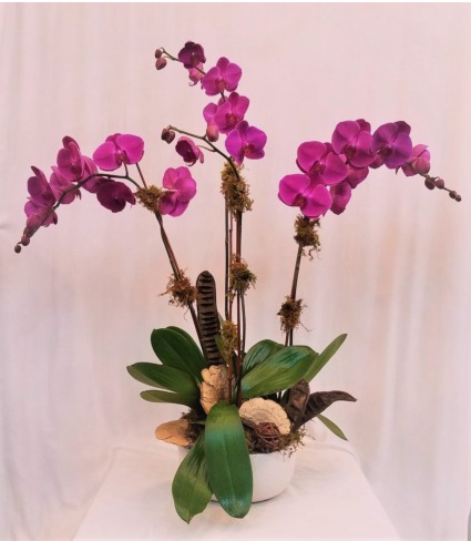 Triple Pink Orchid Arrangement
